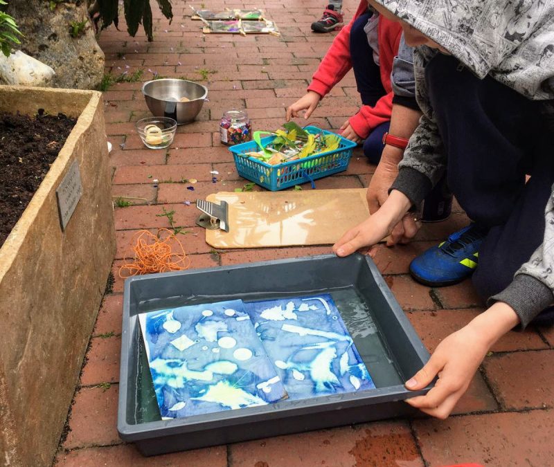 28TH MAY 2019: FAMILY-FRIENDLY CYANOTYPE WORKSHOP – CROMER MUSEUM, NORFOLK
