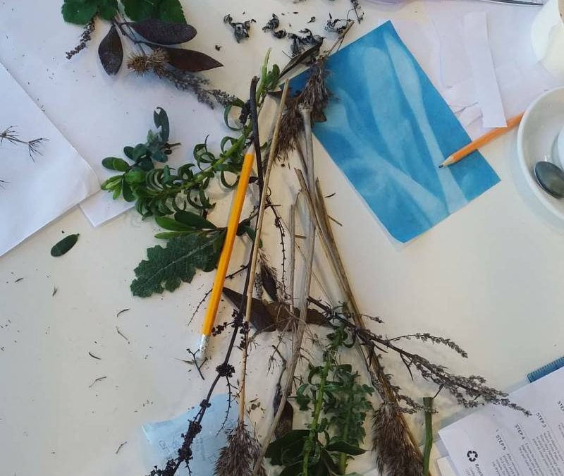 15TH FEBRUARY 2018: NATURE CYANOTYPE WORKSHOP – NORFOLK WILDLIFE TRUST CLEY MARSHES, NORFOLK