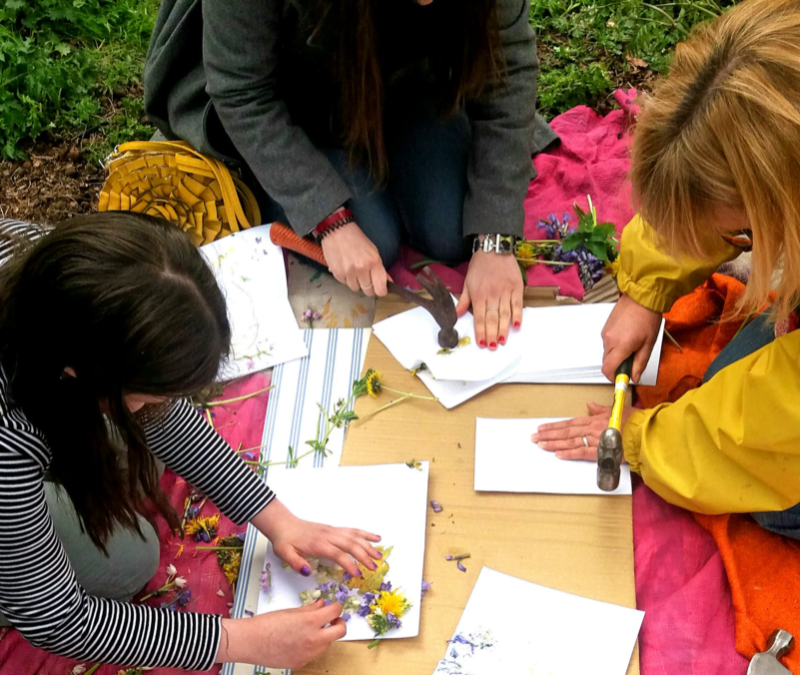 22ND APRIL 2017: RETURN TO NATURE – NORWICH