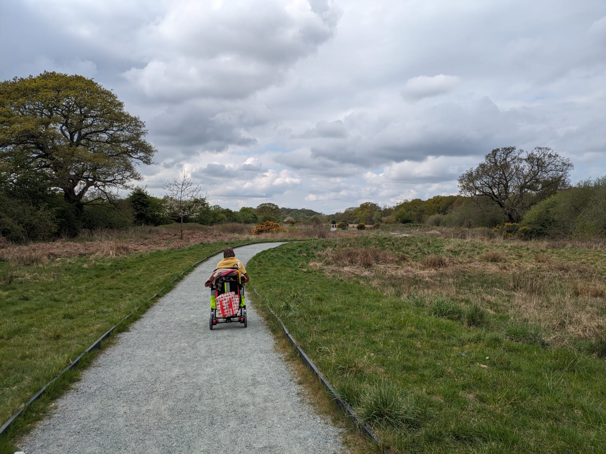 29th July 2025: Exploring sensory perceptions through a disability lens – Sweet Briar Marshes, Norwich