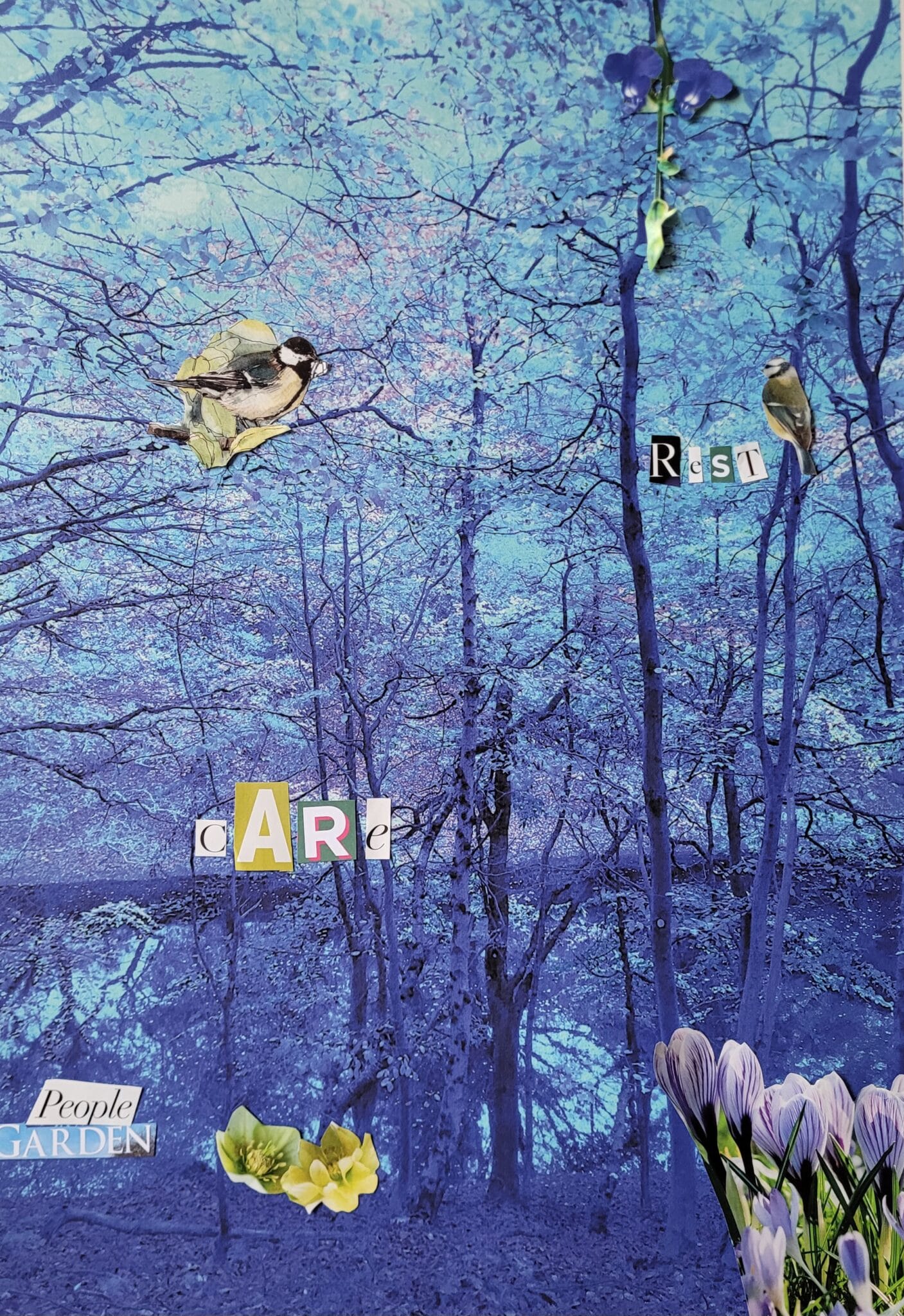 2026: gently into the garden of [im]possible dreams