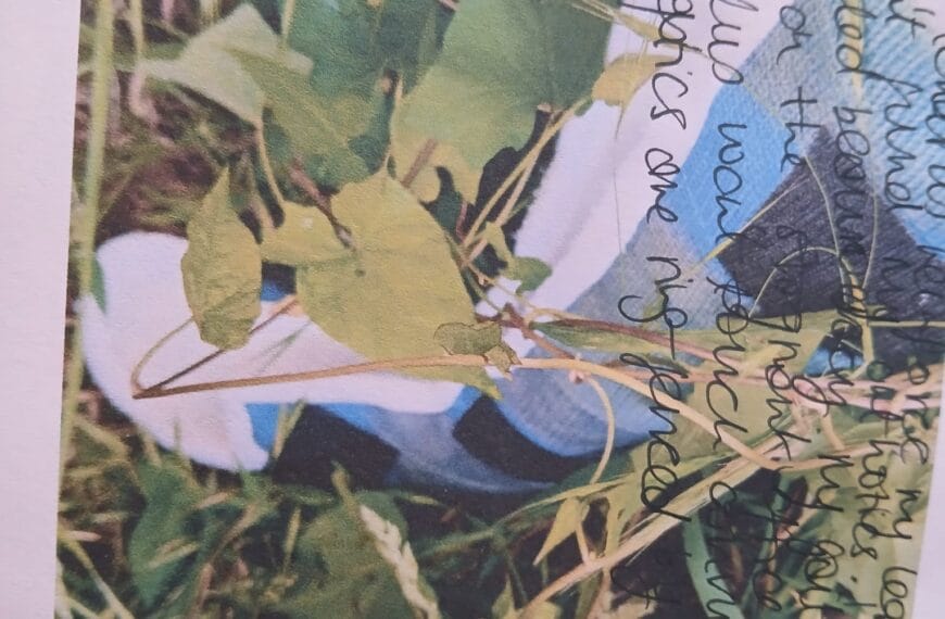 2026: Bindweed